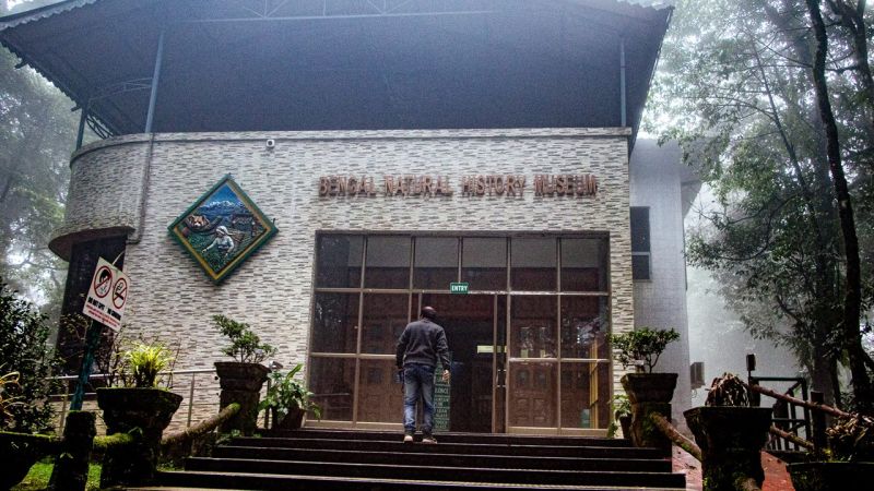 Bengal Natural History Museum