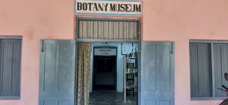 Botany Museum